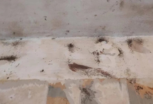 Уничтожение плесени