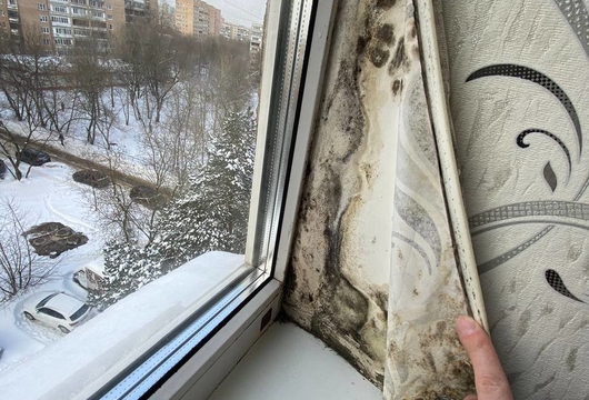 Уничтожение плесени