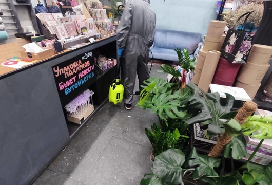 Организациям