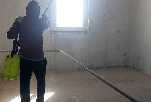 Уничтожение тараканов