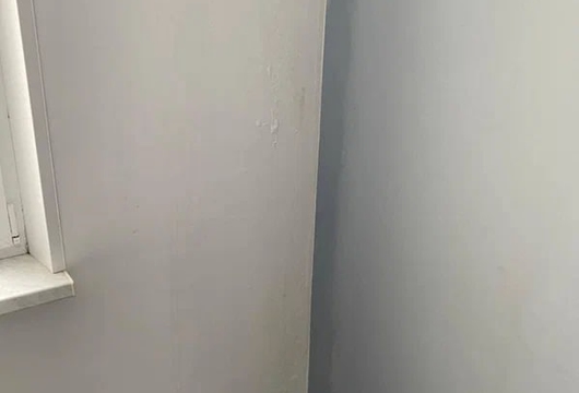 Уничтожение плесени