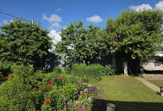 Лечение деревьев в Москве