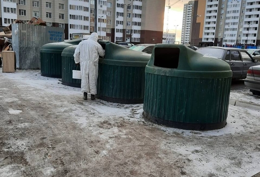 Уничтожение крыс