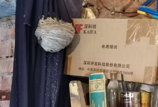 Уничтожение ос