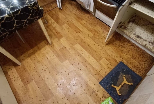 Уничтожение тараканов