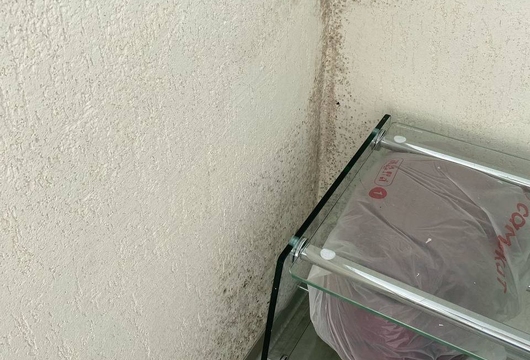 Уничтожение плесени