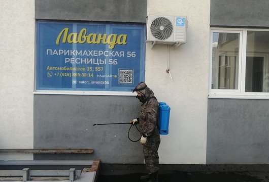 Уничтожение плесени