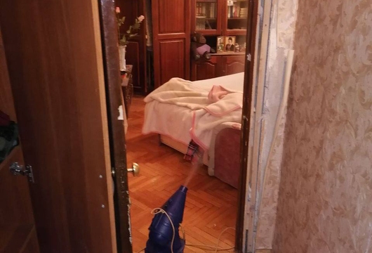 Уничтожение вшей