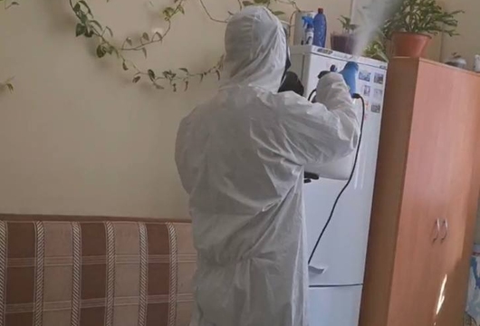 Уничтожение муравьев