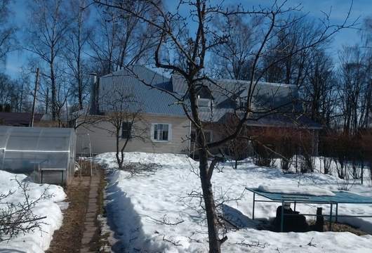 Лечение деревьев в Москве