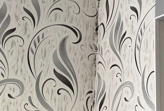 Уничтожение плесени