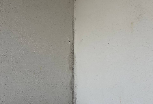 Уничтожение плесени