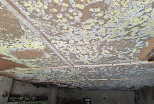 Уничтожение плесени