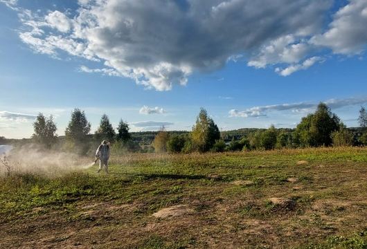 Уничтожение клещей