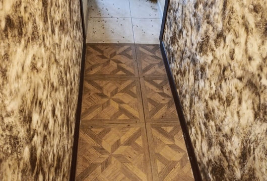 Уничтожение тараканов
