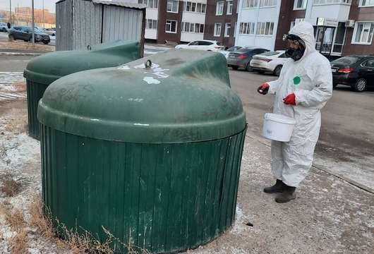 Уничтожение крыс